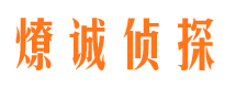 青羊调查事务所